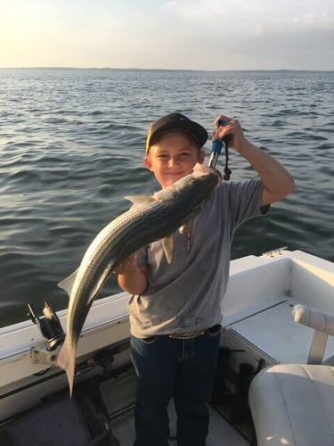 Half Day Bass (AM or PM) in Pottsboro
