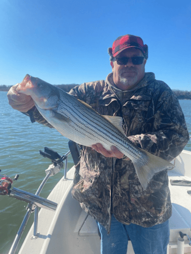 Half Day Bass (AM Or PM) In Pottsboro