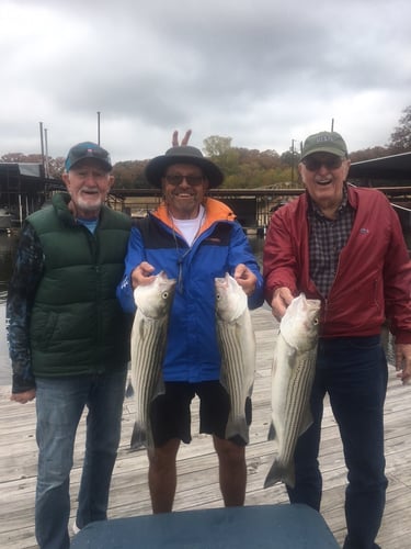 Half Day Bass (AM or PM) in Pottsboro