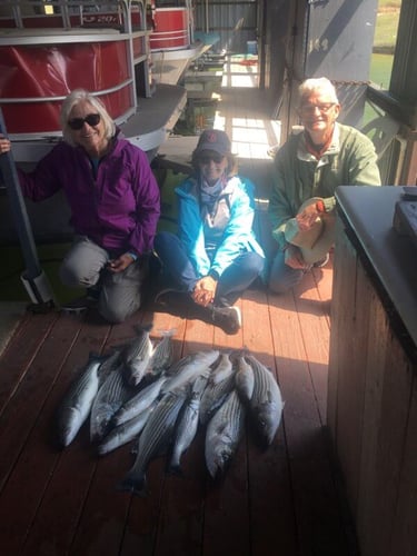 Half Day Bass (AM or PM) in Pottsboro