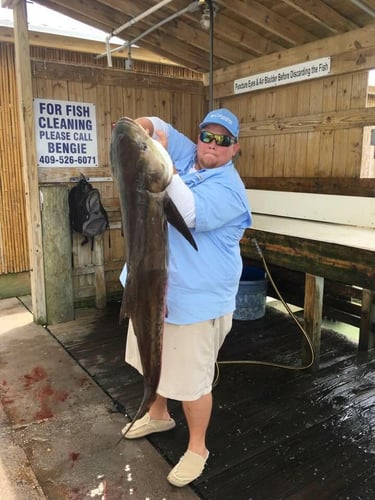 Trophy Thrills With Captain Shannon In Galveston