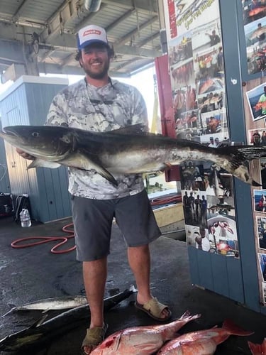 Trophy Thrills With Captain Shannon In Galveston