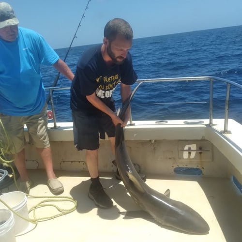 Big Shark Hunt Offshore In Galveston