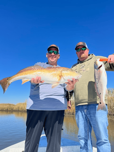 Galveston Bay Trout/Redfish In Galveston