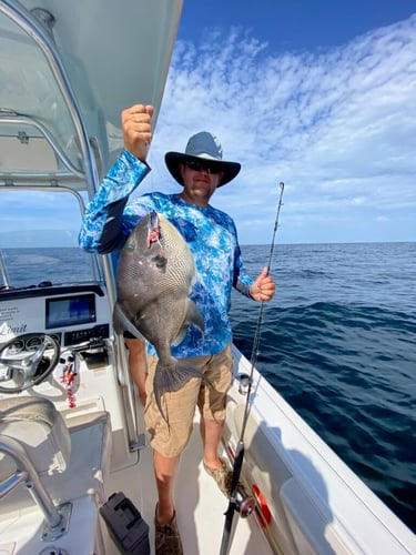 Nearshore Fishing Combo in Pensacola