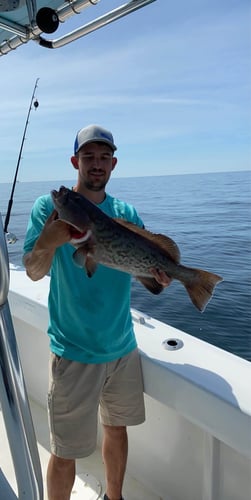 Full Day Fishing - 24’ Robalo In Pensacola