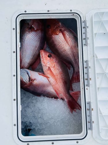 Destin Inshore - 23’ Cape Horn In Santa Rosa Beach