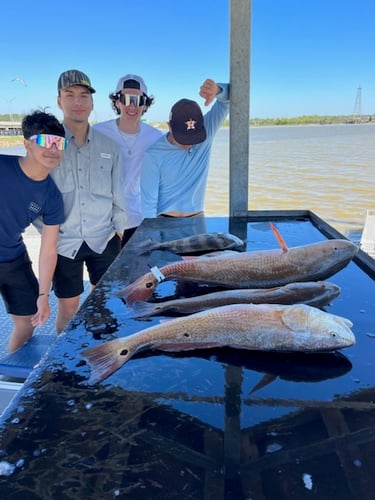 Sabine Lake Trout & Redfish In Deer Park