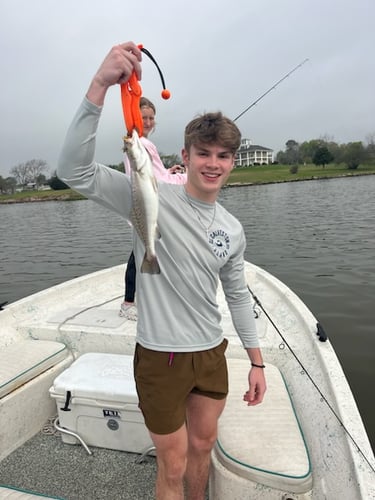 Sabine Lake Trout & Redfish In Deer Park