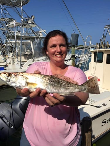 Islamorada Angling Excursion in Islamorada