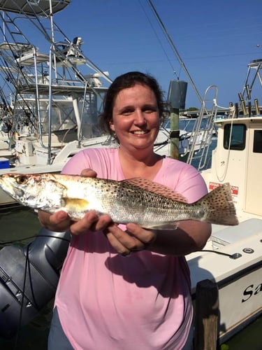 Islamorada Live Action Fishing In Islamorada