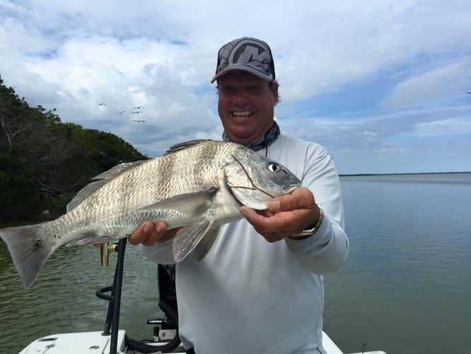 Islamorada Live Action Fishing In Islamorada