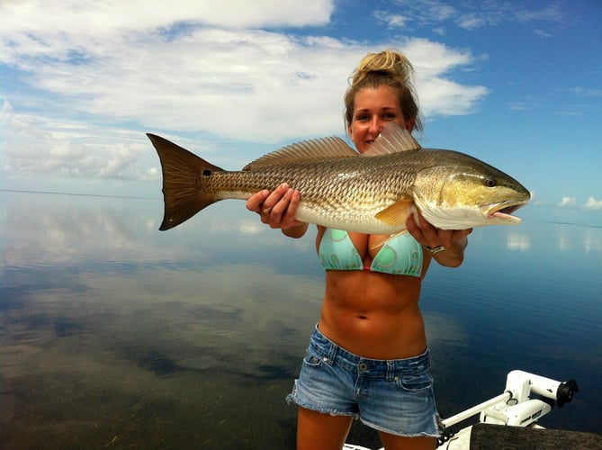 Islamorada Live Action Fishing In Islamorada