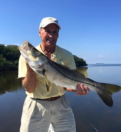 Islamorada Live Action Fishing In Islamorada