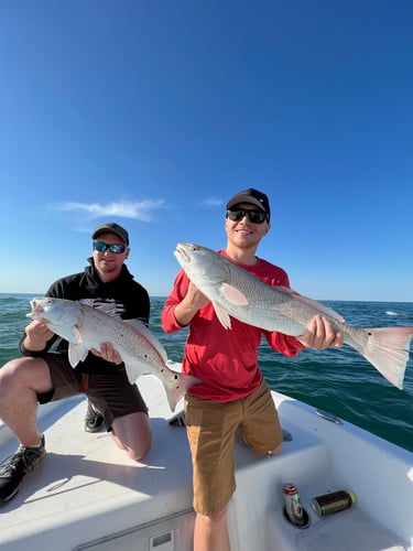 Kids Fishing - 22’ Sea Chaser In Panama City