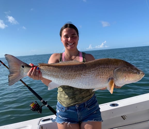 Half Day Jetty Trip - 21' Mako in Galveston