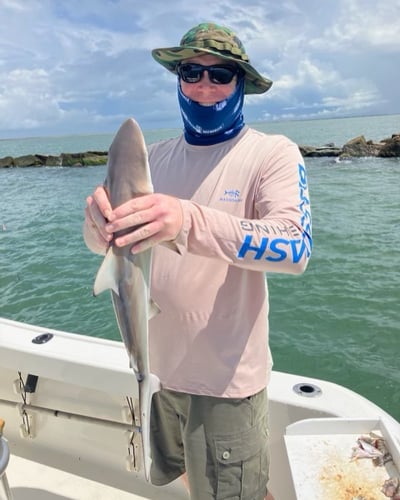 Half Day Jetty Trip - 21' Mako in Galveston