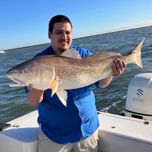 Half Day Jetty Trip - 21' Mako in Galveston