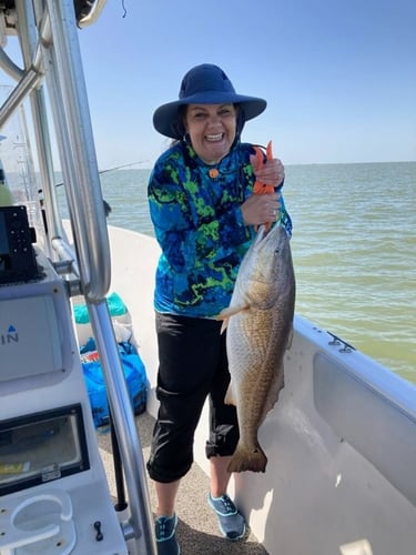 Half Day Jetty Trip - 21' Mako in Galveston
