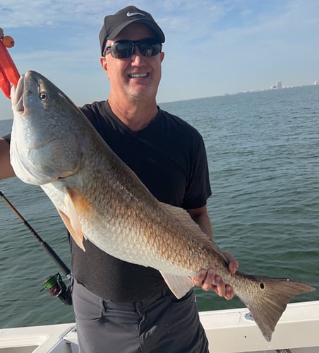 Half Day Jetty Trip - 21' Mako in Galveston