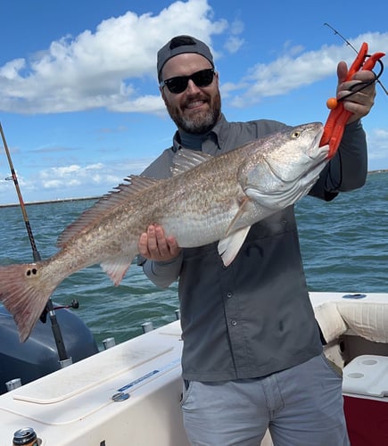 Half Day Jetty Trip - 21' Mako in Galveston