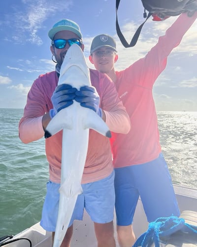 Half Day Jetty Trip - 21' Mako in Galveston