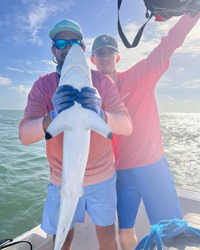 Jetties & Jaws: Reel In The Fun In Galveston