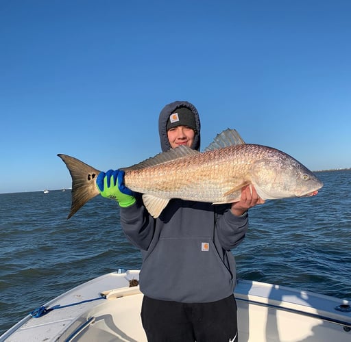 Jetties & Jaws: Reel In The Fun In Galveston