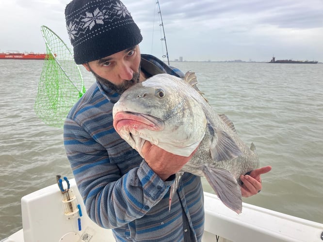 Half Day Jetty Trip - 21' Mako in Galveston