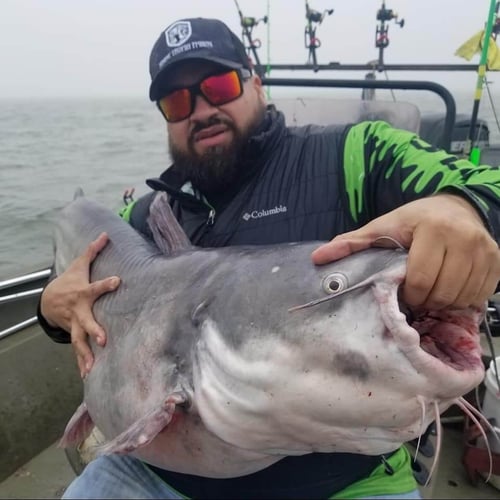 Lake Ray Hubbard Trophy Catfish Trip In Dallas