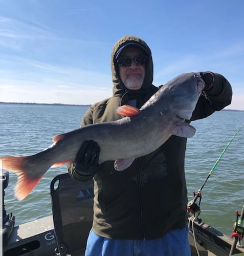 Lake Ray Hubbard Trophy Catfish Trip In Dallas