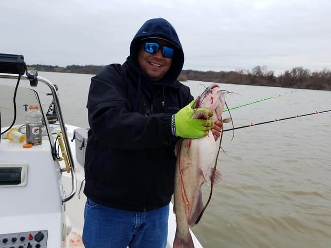 Lake Ray Hubbard Trophy Catfish Trip In Dallas