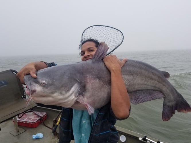 Lake Ray Hubbard Trophy Catfish Trip In Dallas