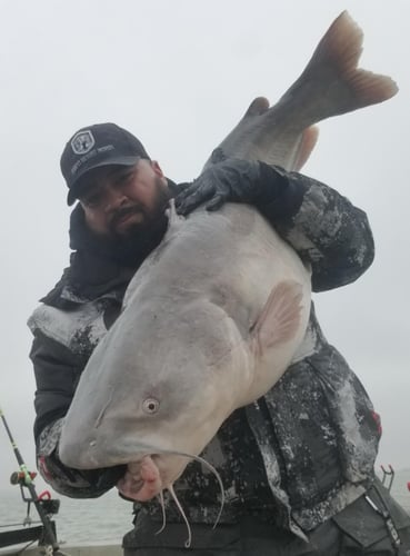 Lake Ray Hubbard Trophy Catfish Trip In Dallas