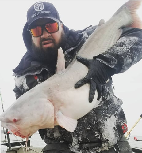 Lake Ray Hubbard Trophy Catfish Trip In Dallas