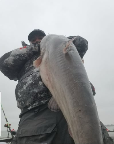 Lake Ray Hubbard Trophy Catfish Trip In Dallas