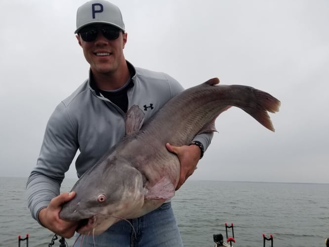 Trophy Blue Cat Trip in Dallas