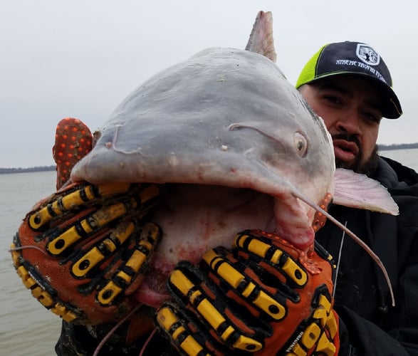 Lake Ray Hubbard Trophy Catfish Trip In Dallas