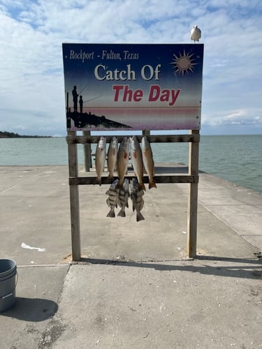 Inshore Guided Trip In Rockport