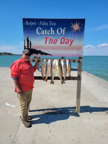 Inshore Guided Trip In Rockport