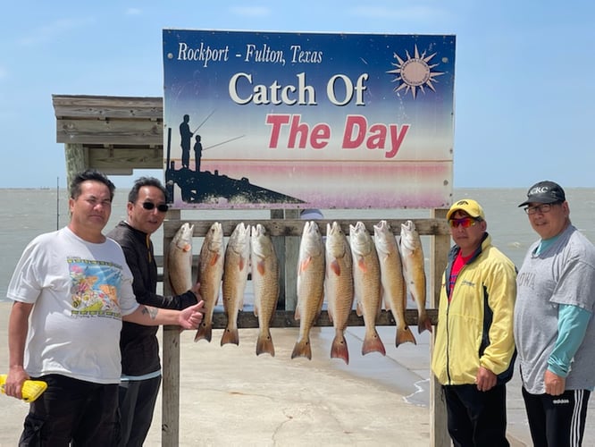 Inshore Guided Trip In Rockport