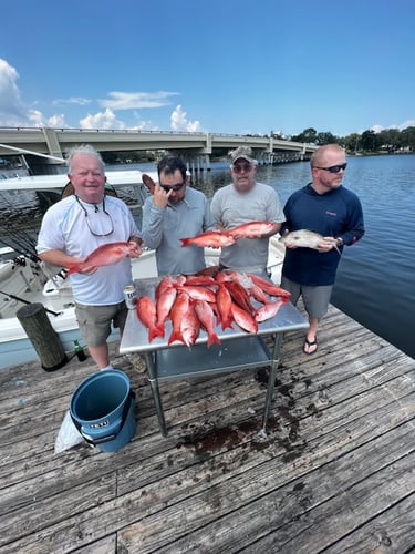 Bottomfishing Special In Pensacola