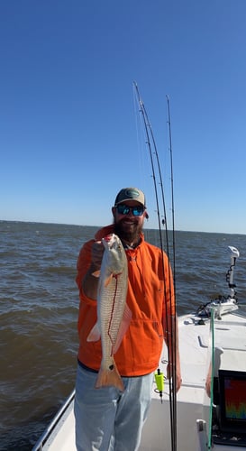 Destin Inshore - 23’ Cape Horn In Santa Rosa Beach