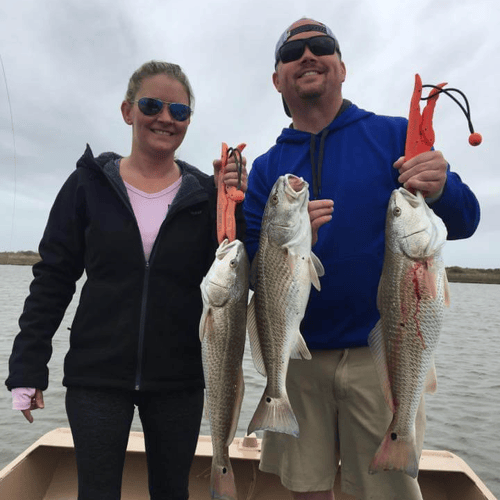 Full Day Airboat Adventure In Rockport