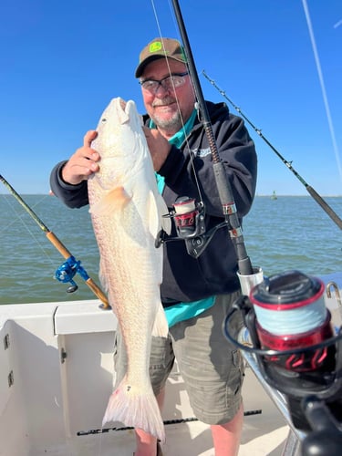 Nearshore Reds, Sharks, Jack Fish In Galveston