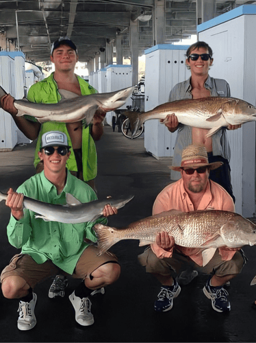 Nearshore Reds, Sharks, Jack Fish In Galveston