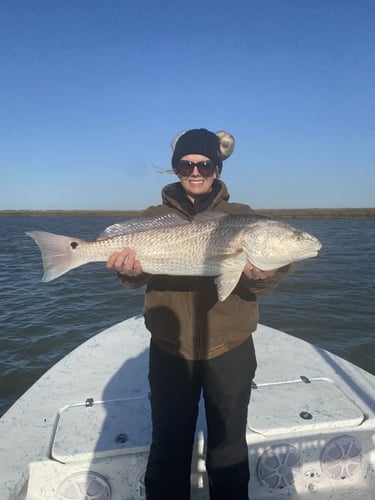 Nearshore Reds, Sharks, Jack Fish In Galveston