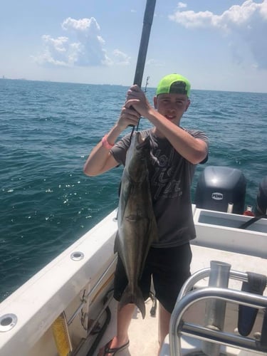 Nearshore Reds, Sharks, Jack Fish In Galveston