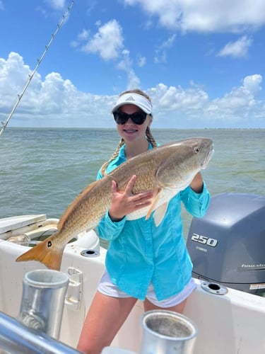 Nearshore Reds, Sharks, Jack Fish In Galveston