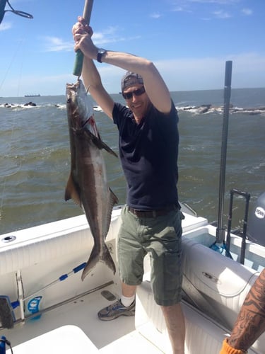 Nearshore Reds, Sharks, Jack Fish In Galveston